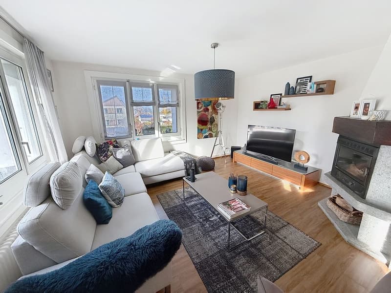 Beautiful, carefully renovated property with large, tree-lined garden (4)
