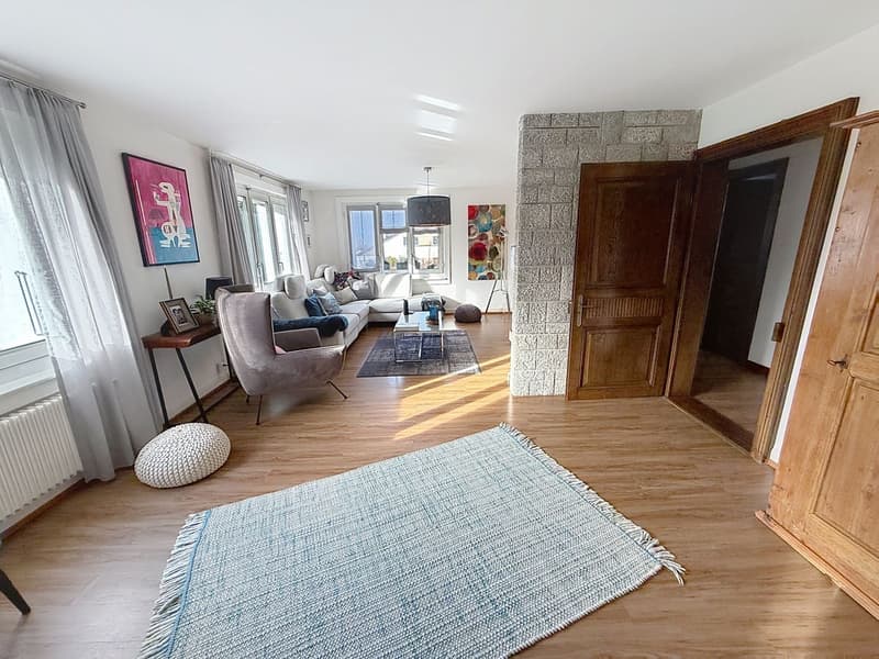 Beautiful, carefully renovated property with large, tree-lined garden (7)