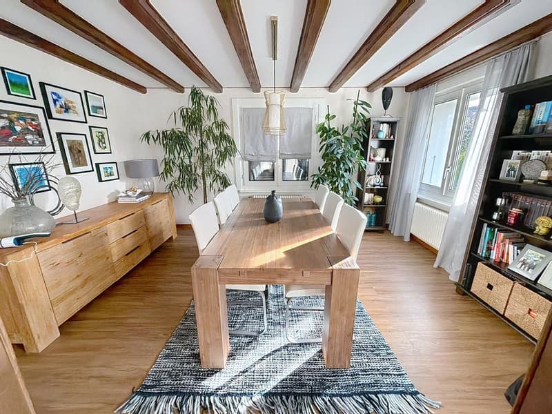 Beautifully renovated property with great care and large tree-lined garden (7)