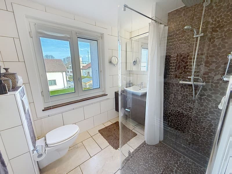 Beautifully renovated property with great care and large tree-lined garden (12)