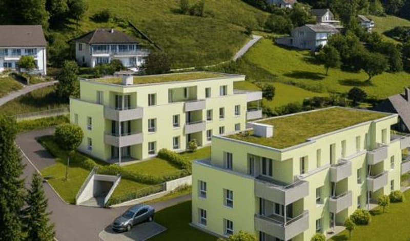 Appartement d'attique exceptionnel comme neuf, disponible immédiatement ou sur arrangement. (12)