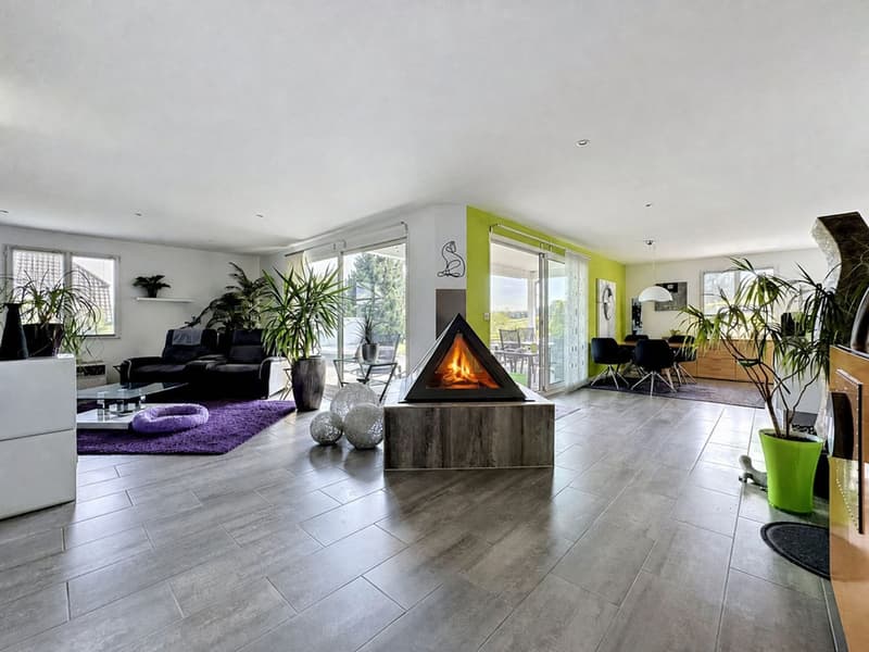 Single-story villa with 4.5 rooms, swimming pool, jacuzzi, home cinema, and 3 garages (4)