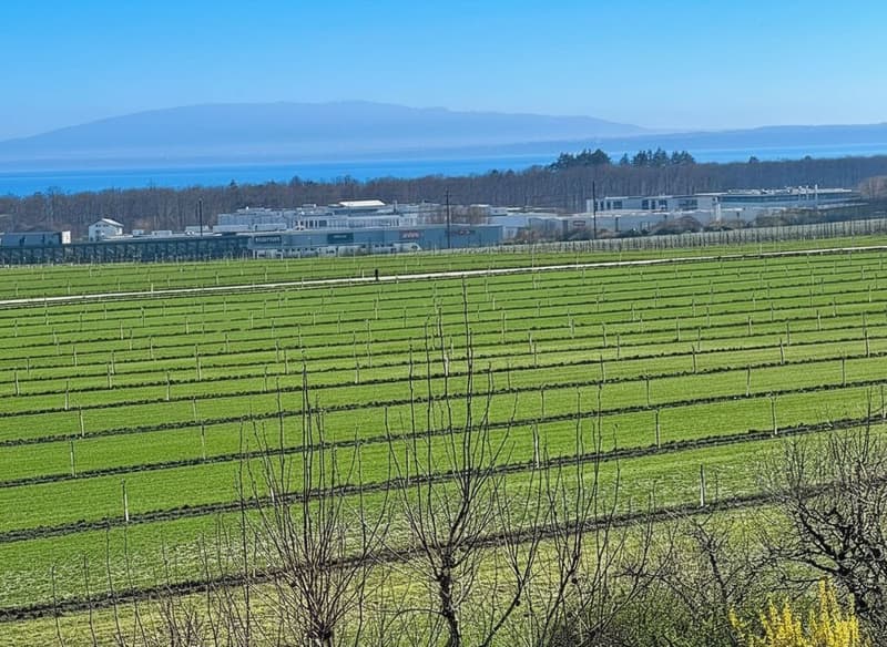 Duplex 4.5 rooms on the top floor with spectacular views of Lake Geneva, the Alps and the vineyards (2)