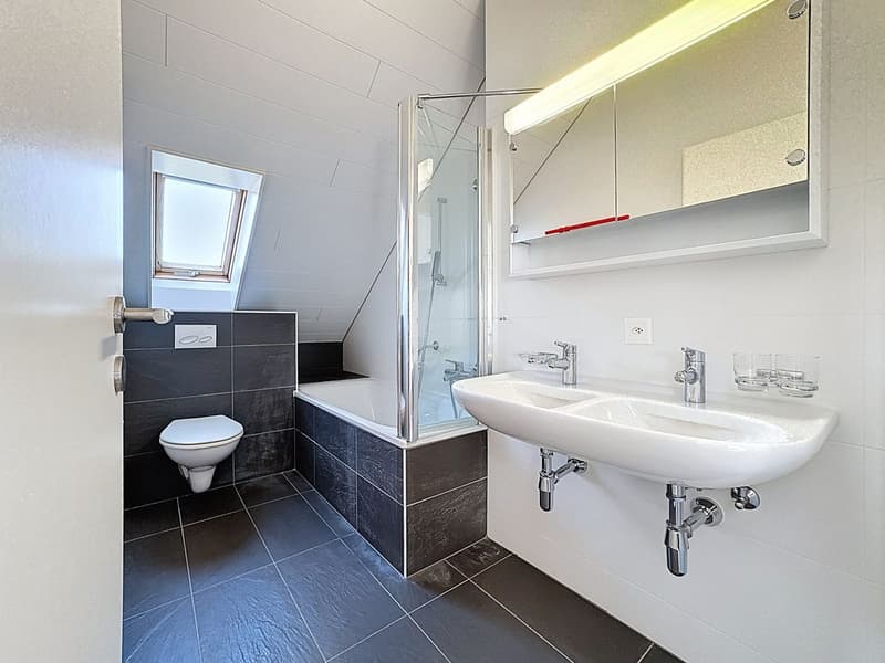 Duplex 4.5 rooms on the top floor with spectacular views of Lake Geneva, the Alps and the vineyards (10)