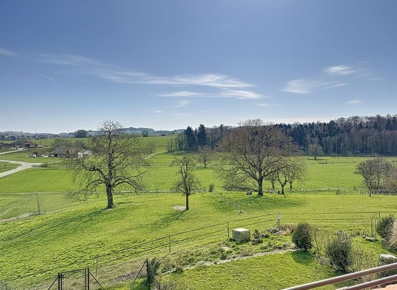 Attic duplex 10 minutes from Aubonne in the charming village of Gimel (13)