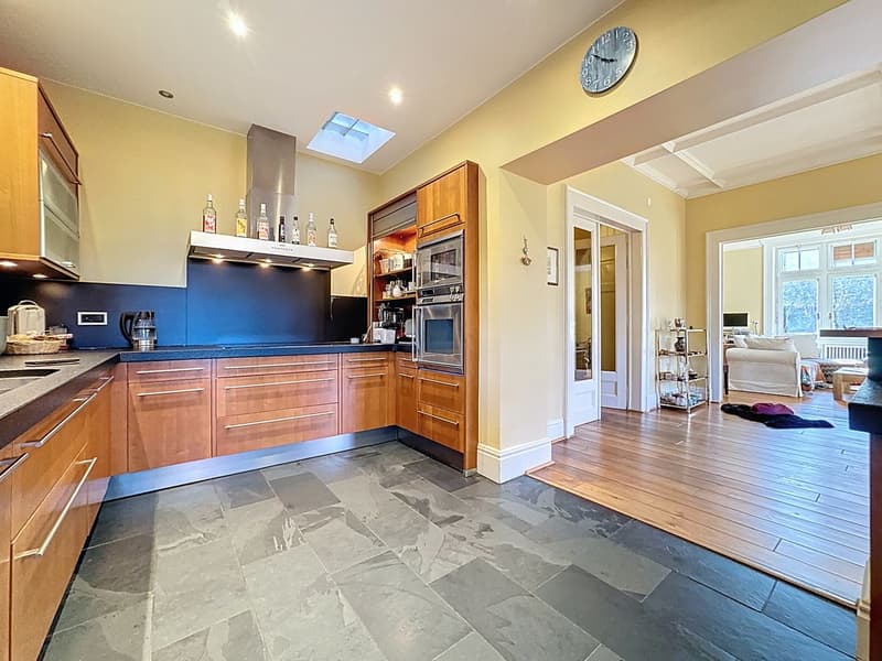 Exceptional master house in the heart of a tree-lined park (6)