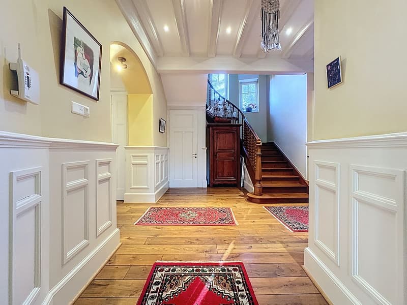 Exceptional master house in the heart of a tree-lined park (2)
