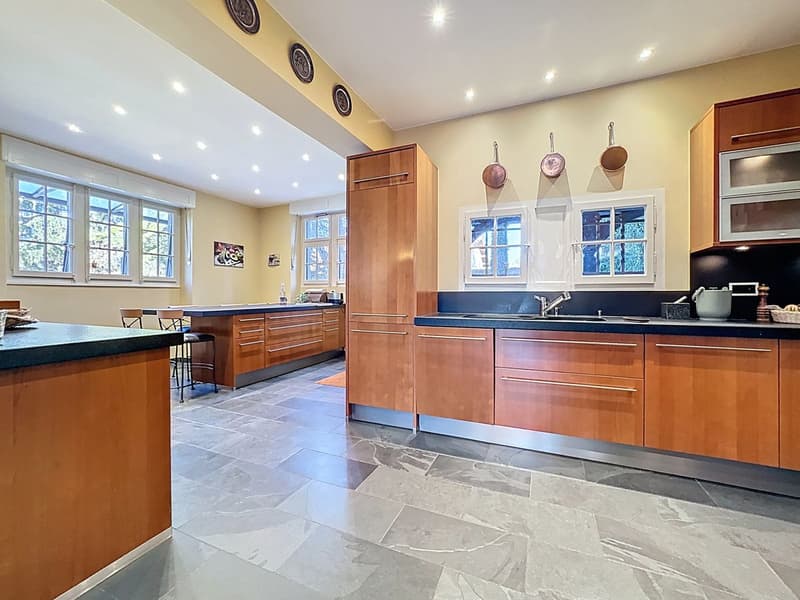 Exceptional master house in the heart of a tree-lined park (5)