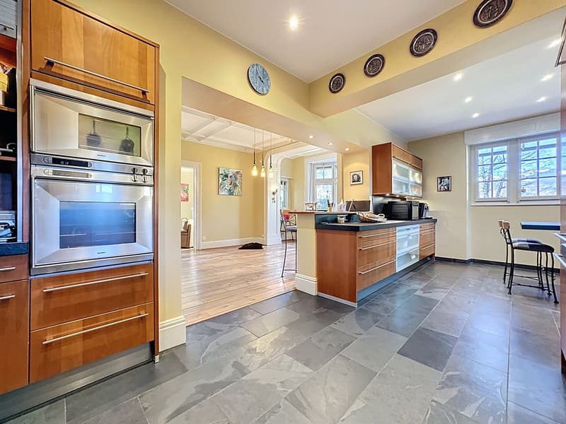 Exceptional master house in the heart of a tree-lined park (7)