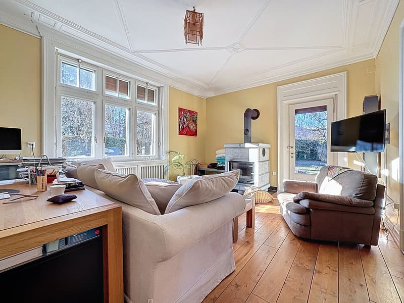 Exceptional master house in the heart of a tree-lined park (3)