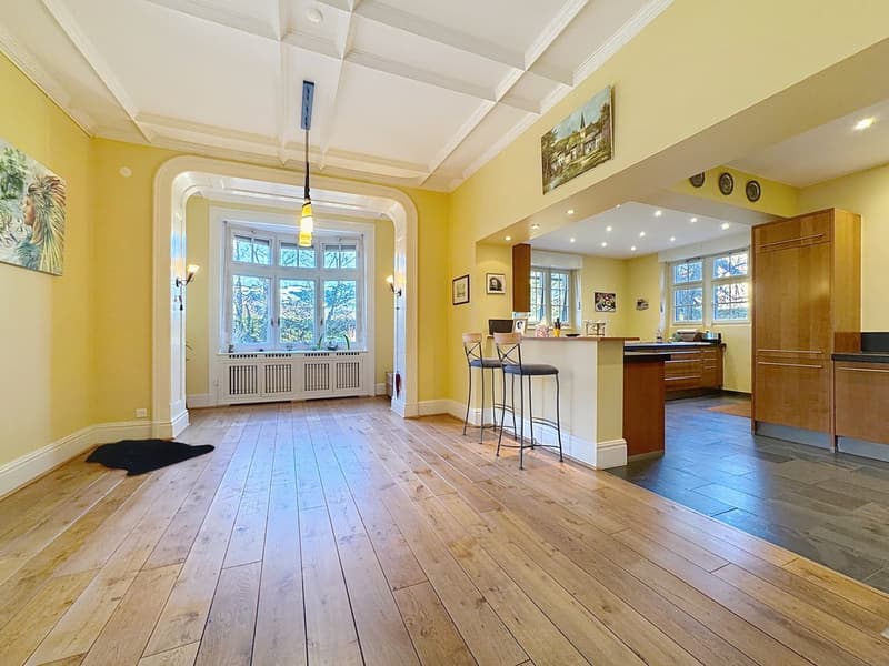 Exceptional master house in the heart of a tree-lined park (8)