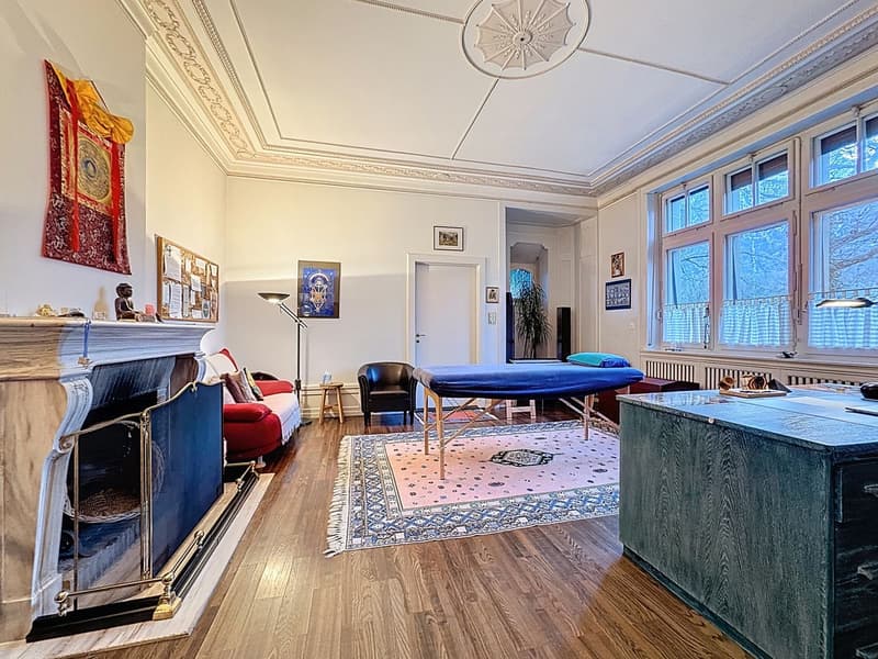 Exceptional master house in the heart of a tree-lined park (11)