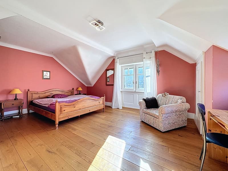Exceptional master house in the heart of a tree-lined park (10)