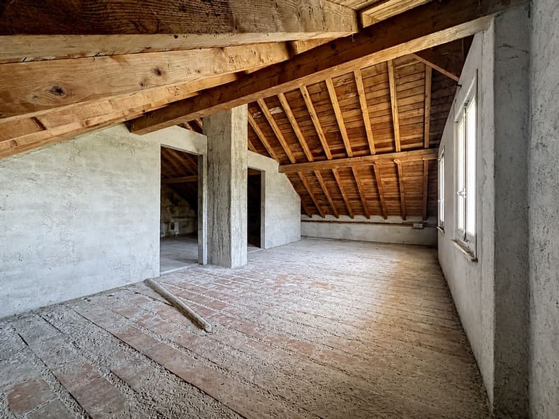 Guaranteed crush - Bright family house with farm building, large plot & multiple possibilities (11)