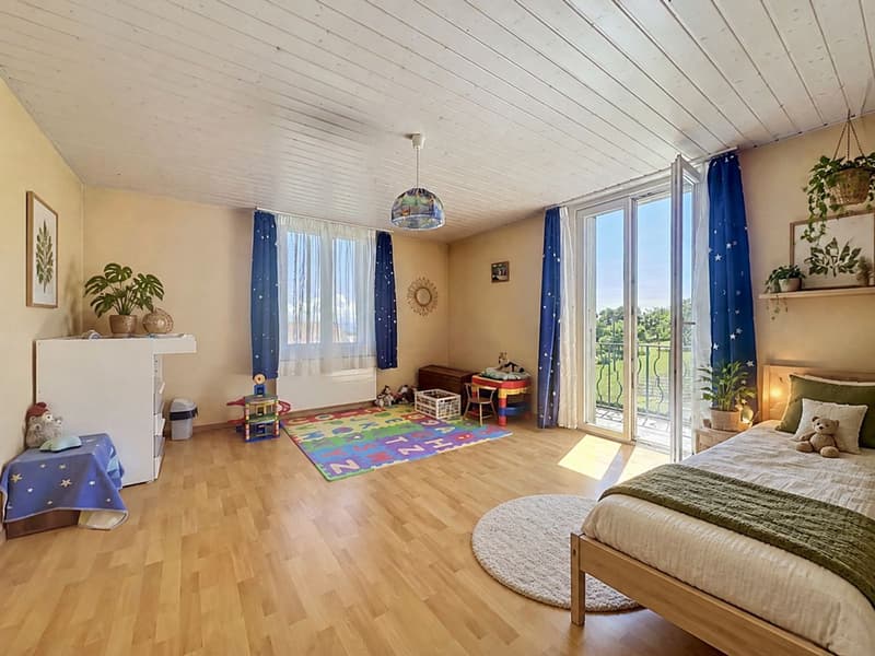Guaranteed crush - Bright family house with farm building, large plot & multiple possibilities (8)
