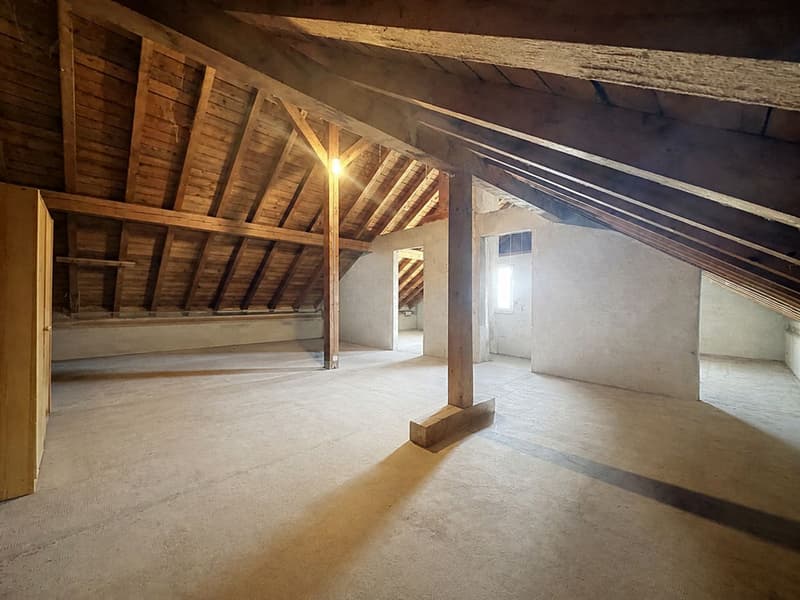 Guaranteed crush - Bright family house with farm building, large plot & multiple possibilities (12)