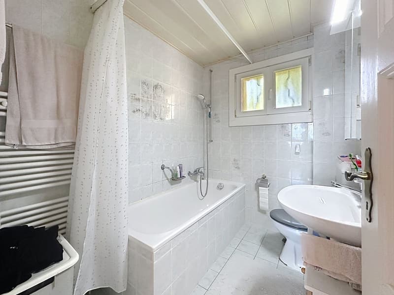 Guaranteed crush - Bright family house with farm building, large plot & multiple possibilities (10)