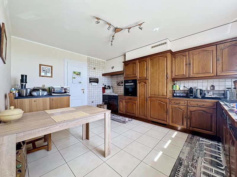 Guaranteed crush - Bright family house with farm building, large plot & multiple possibilities (4)