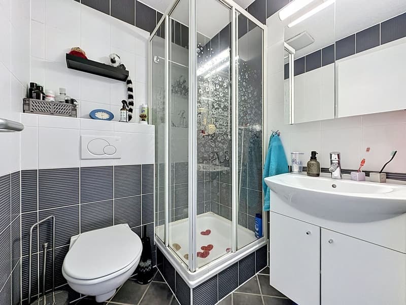 Bright duplex with generous volumes in the heart of Servion (11)