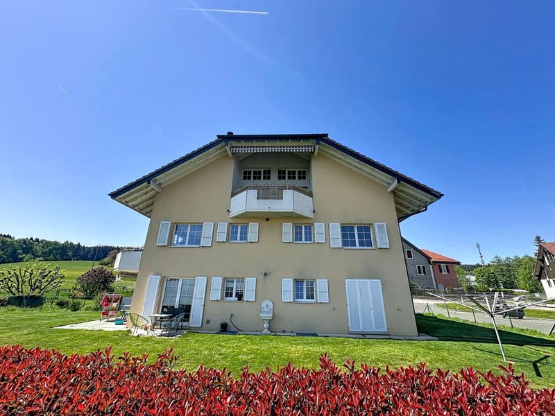Bright duplex with generous volumes in the heart of Servion (3)