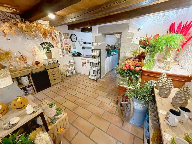 Immobilienanlage mit Ertragspotenzial im Herzen von Yvonand (5)