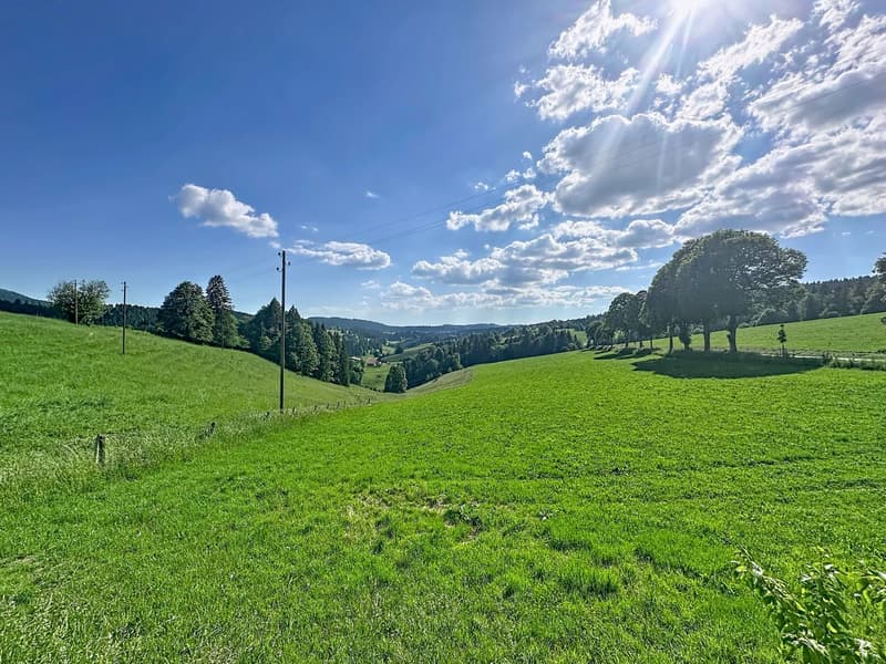 Bien rare et élégant, offrant un cadre idéal pour une famille ou une activité B&B, avec vue spectaculaire (2)