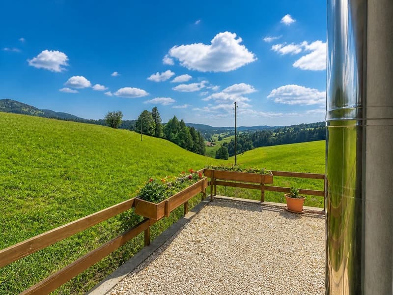 Bien rare et élégant, offrant un cadre idéal pour une famille ou une activité B&B, avec vue spectaculaire (8)