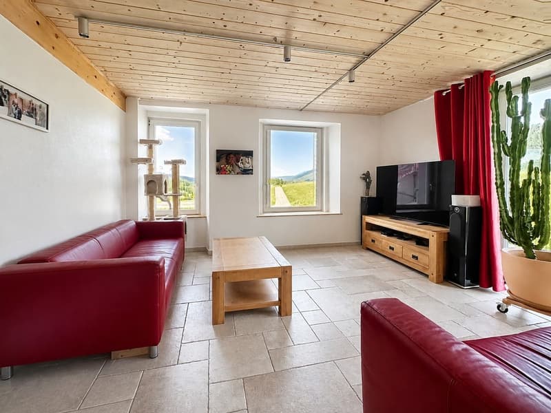 Bien rare et élégant, offrant un cadre idéal pour une famille ou une activité B&B, avec vue spectaculaire (11)