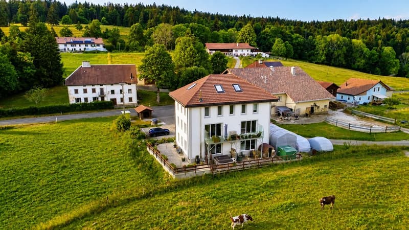 Rare and elegant property, offering an ideal setting for a family or B&B activity, with spectacular views (1)