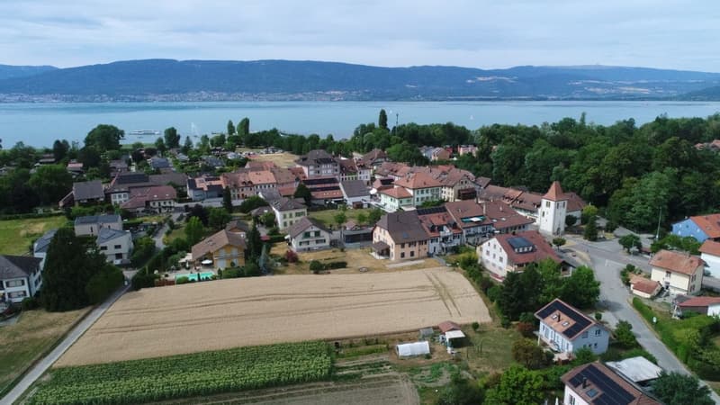 Geräumige Familienvilla auf einem außergewöhnlichen Grundstück von 1'435 m² (2)
