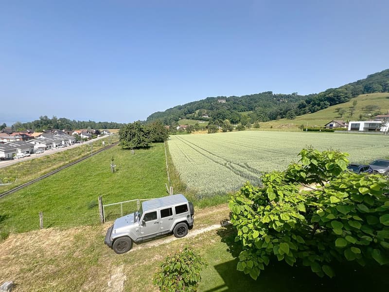 Envie d'un appartement avec jardin et vue sur le lac ? (5)