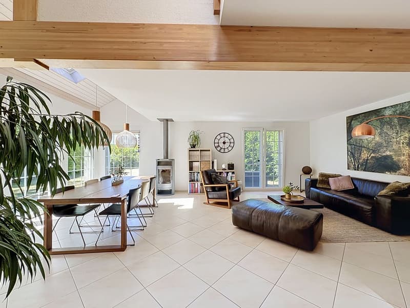 Spacieuse maison familiale, grand jardin verdoyant et garages pour 4 voitures + 2 places de parcs (4)