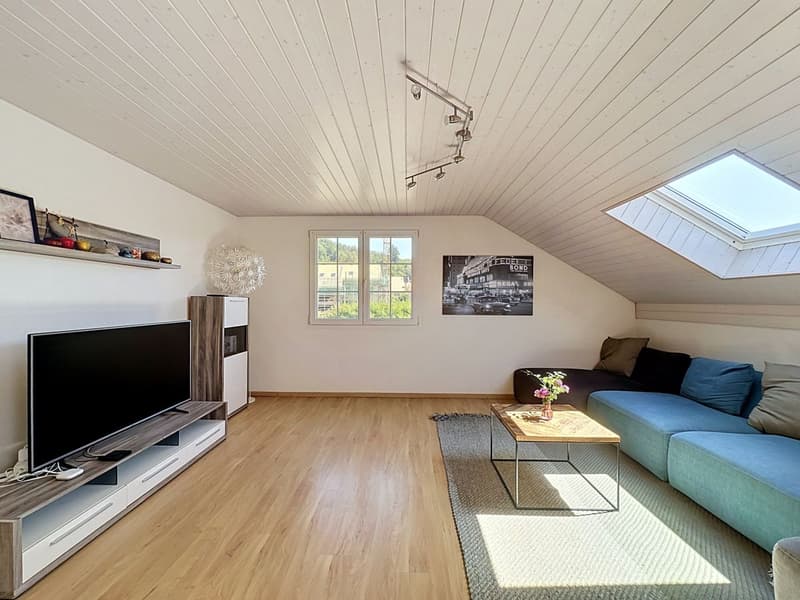 Spacieuse maison familiale, grand jardin verdoyant et garages pour 4 voitures + 2 places de parcs (8)