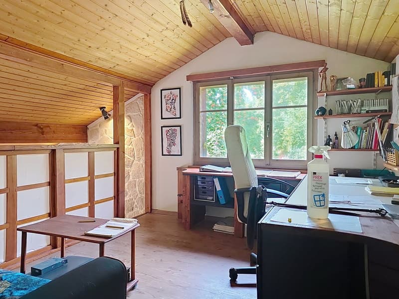 Maison avec grand terrain et potentiel d'autonomie - Chaumont (NE) (10)