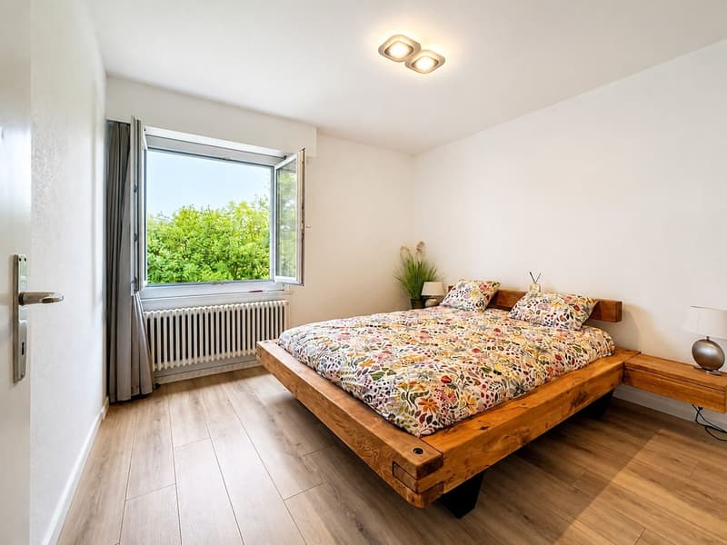 Entre lac et ville, l'appartement qui coche toutes les cases (4)