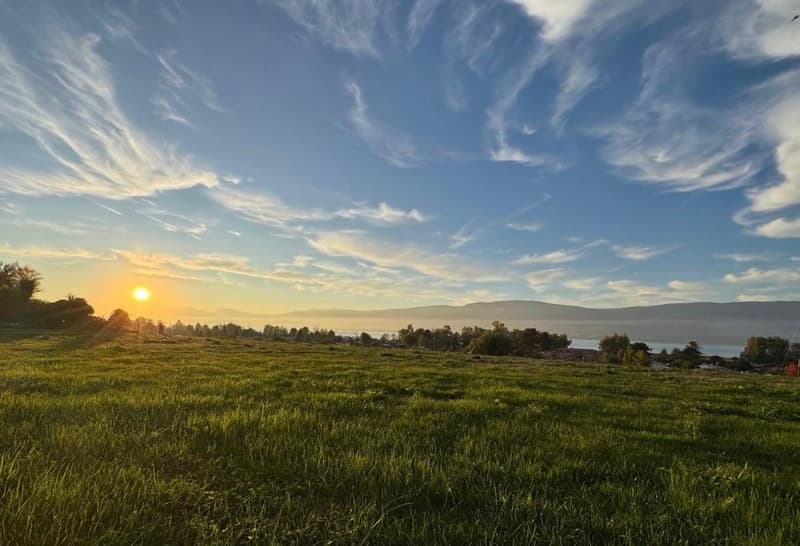 Envie d'un appartement avec jardin et vue sur le lac ? (7)