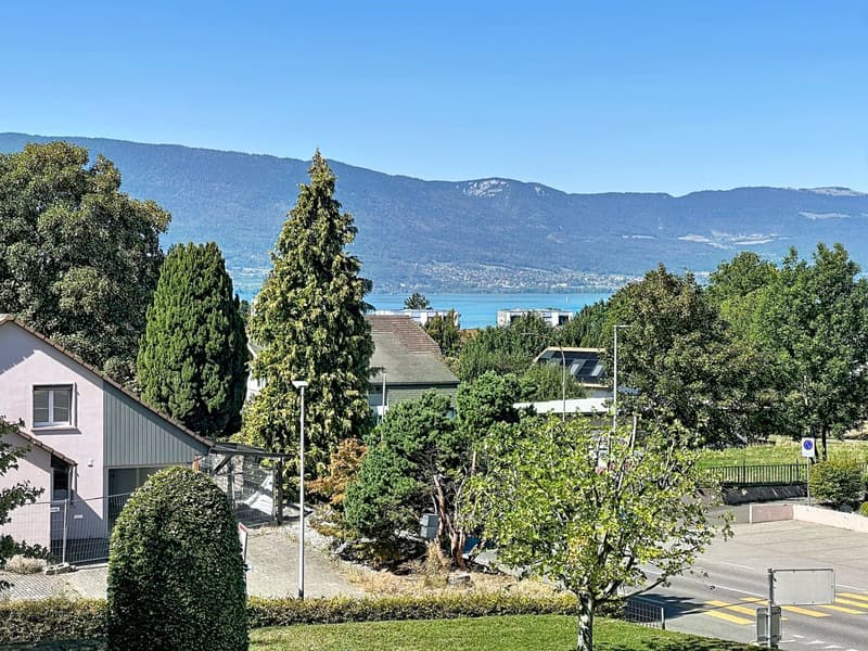 Lumière, espace et belle échappée sur le lac : un appartement rénové au dernier étage (12)