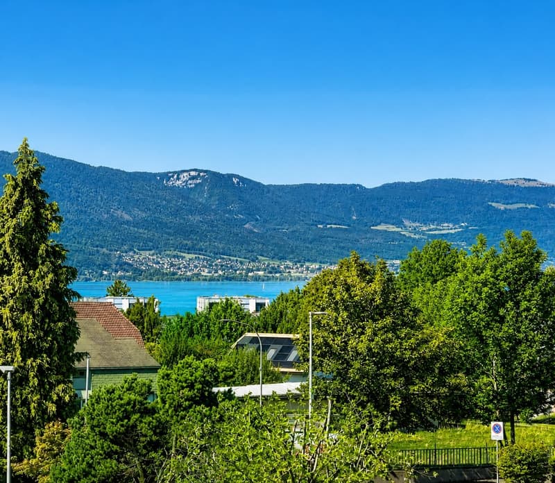 Haus mit Blick auf den See - renovierte Dachgeschosswohnung (1)
