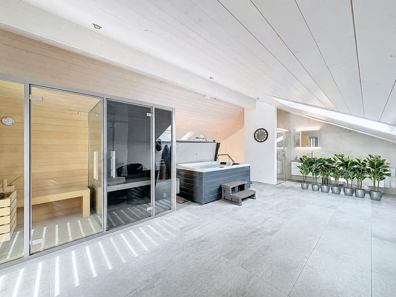 Duplex en attique avec espace bien-être privatif (2)