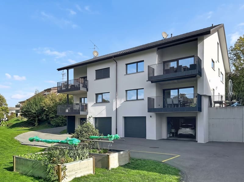 Duplex en attique avec espace bien-être privatif (1)