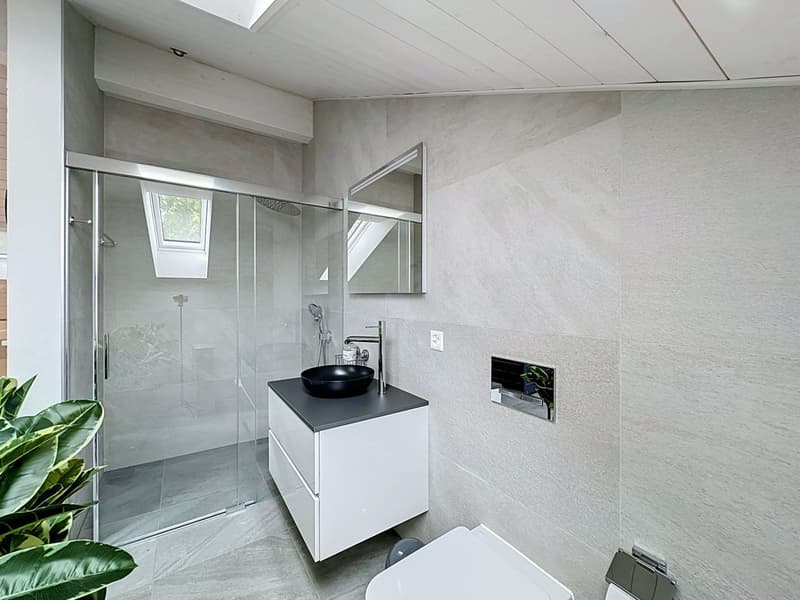 Duplex en attique avec espace bien-être privatif (3)