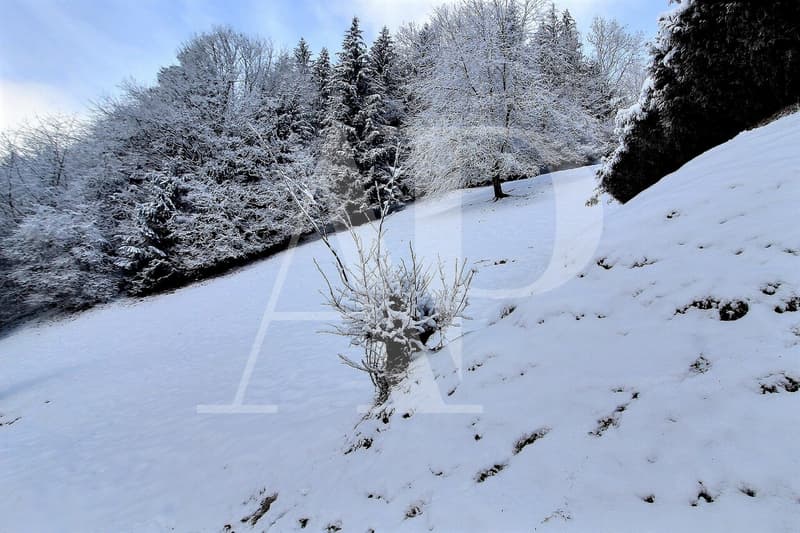 A VENDRE TERRAIN A CHAMPERY (5)