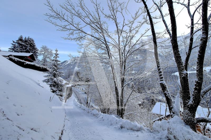 A VENDRE TERRAIN A CHAMPERY (2)