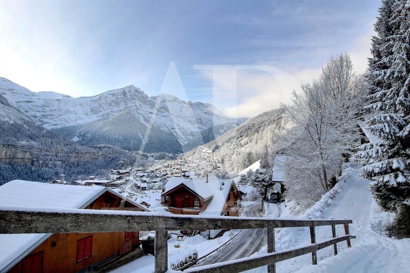 A VENDRE TERRAIN A CHAMPERY (4)