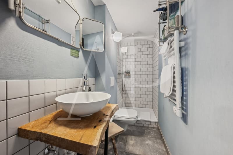 HOTEL CHAMOIS A VENDRE (11)
