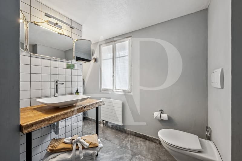 HOTEL CHAMOIS A VENDRE (12)