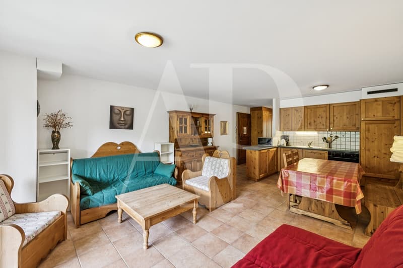 Exclusivité - Charmant appartement à vendre aux Bains à Val- D'Illiez (9)