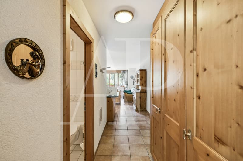 Exclusivité - Charmant appartement à vendre aux Bains à Val- D'Illiez (3)