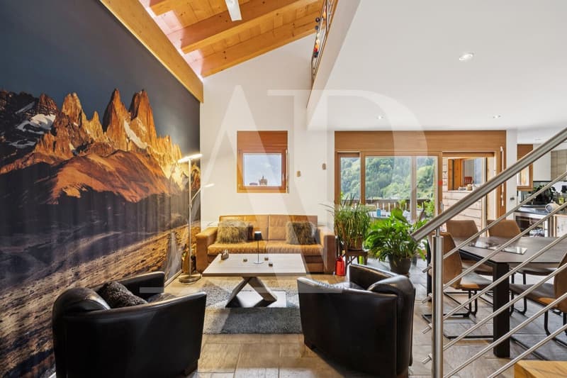 Spacieux duplex lumineux de 7,5 pièces avec vue imprenable (5)