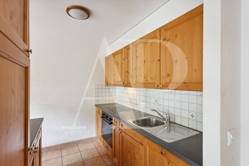 Charmant 3,5 pièces aux Bains du Val d'Illiez (2)